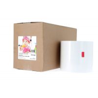 2 rlx papier GENERIQUE SURELAB PRO pour EPSON D700 / FUJI DX100 Brillant 210 mm x 65 m
